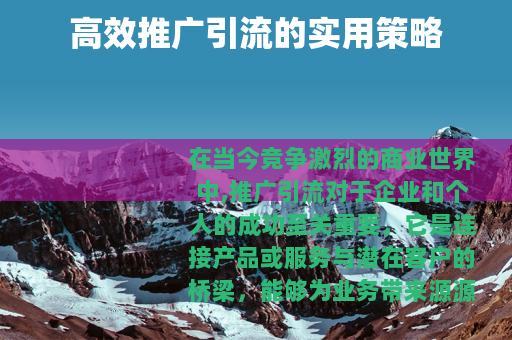 高效推广引流的实用策略