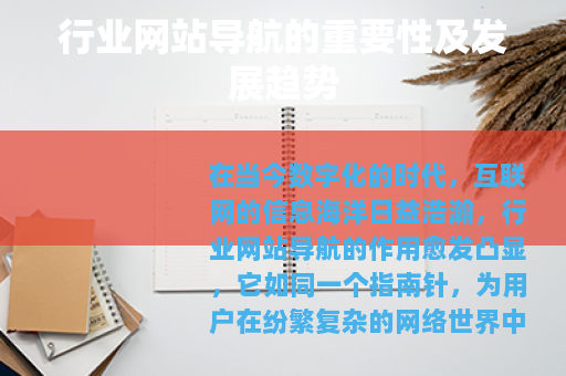 行业网站导航的重要性及发展趋势