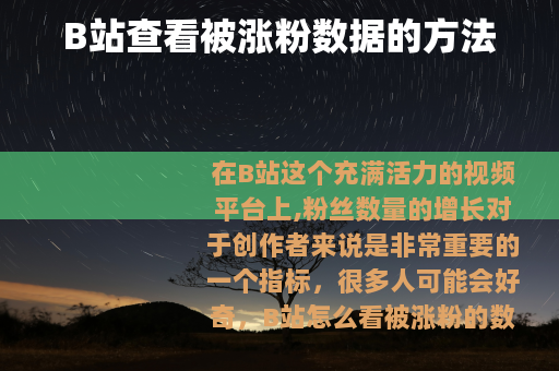 B站查看被涨粉数据的方法