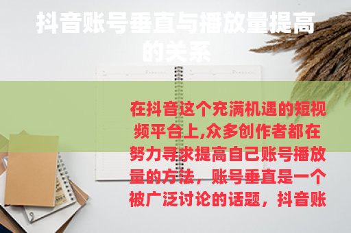 抖音账号垂直与播放量提高的关系