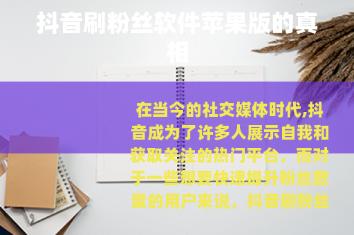 抖音刷粉丝软件苹果版的真相