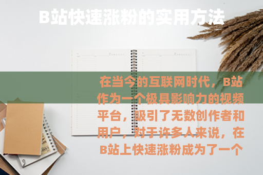 B站快速涨粉的实用方法