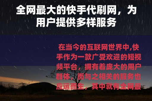 全网最大的快手代刷网，为用户提供多样服务