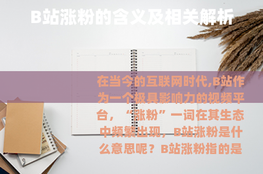 B站涨粉的含义及相关解析