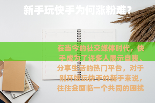 新手玩快手为何涨粉难？