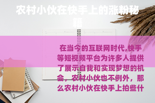 农村小伙在快手上的涨粉秘籍