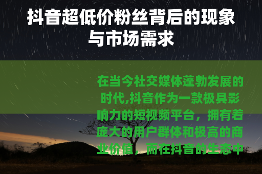 抖音超低价粉丝背后的现象与市场需求