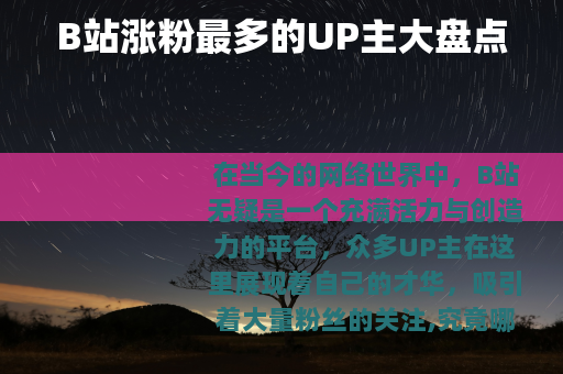 B站涨粉最多的UP主大盘点