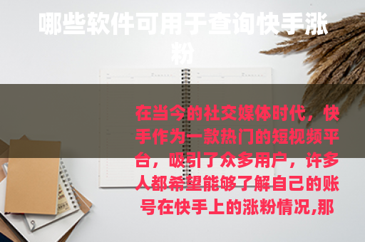 哪些软件可用于查询快手涨粉