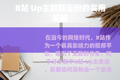 B站 Up主前期涨粉的实用策略