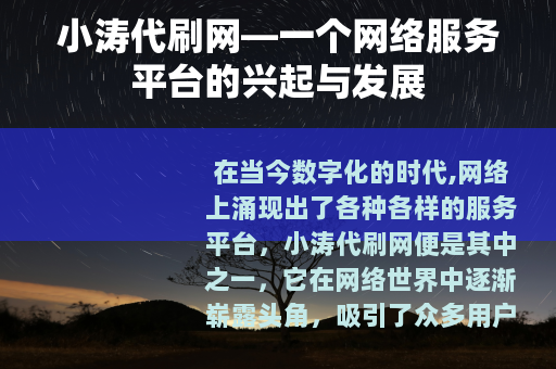 小涛代刷网—一个网络服务平台的兴起与发展