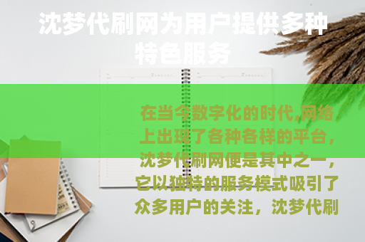 沈梦代刷网为用户提供多种特色服务