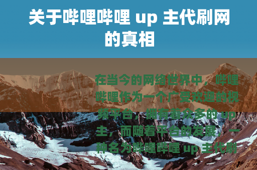 关于哔哩哔哩 up 主代刷网的真相