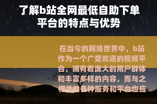 了解b站全网最低自助下单平台的特点与优势