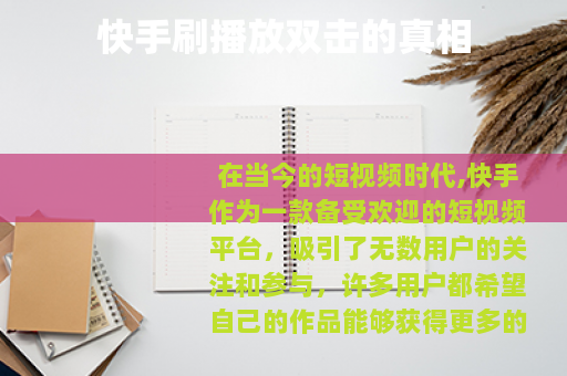 快手刷播放双击的真相