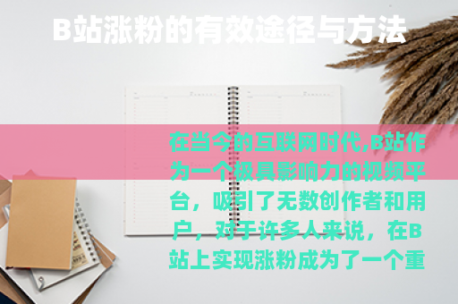 B站涨粉的有效途径与方法