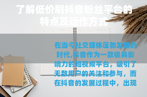 了解低价刷抖音粉丝平台的特点及运作方式 了解低价刷抖音粉丝平台的特点及运作方式