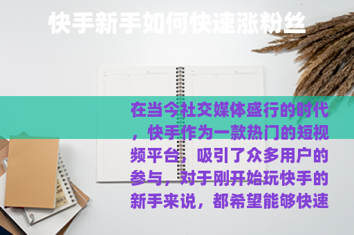 快手新手如何快速涨粉丝