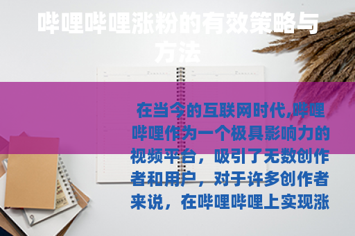 哔哩哔哩涨粉的有效策略与方法