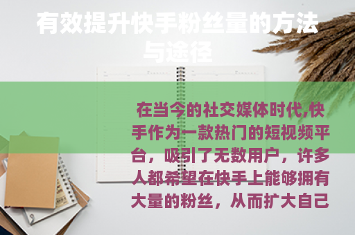 有效提升快手粉丝量的方法与途径