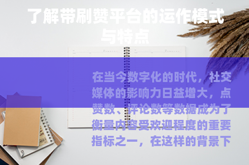 了解带刷赞平台的运作模式与特点