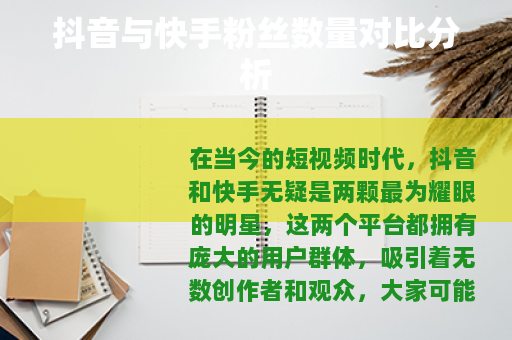 抖音与快手粉丝数量对比分析