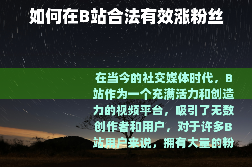 如何在B站合法有效涨粉丝