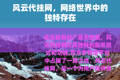 风云代挂网，网络世界中的独特存在