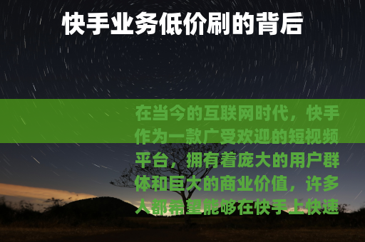 快手业务低价刷的背后
