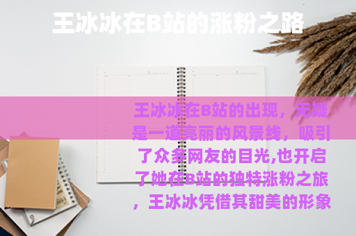 王冰冰在B站的涨粉之路