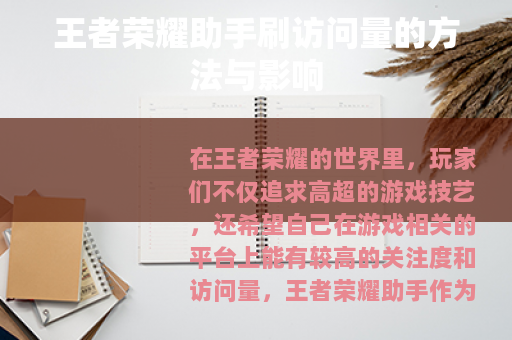 王者荣耀助手刷访问量的方法与影响 王者荣耀助手刷访问量的方法与影响