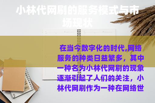 小林代网刷的服务模式与市场现状