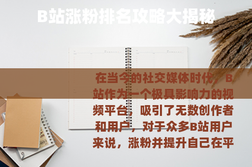 B站涨粉排名攻略大揭秘