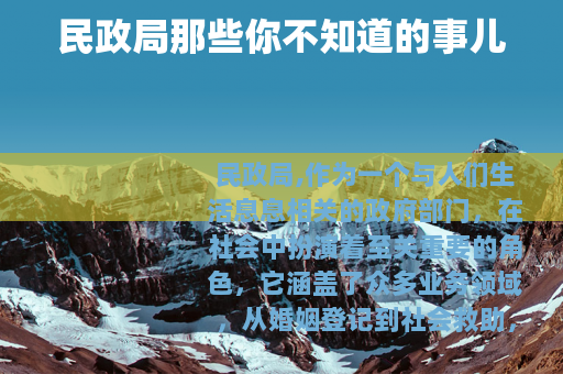 民政局那些你不知道的事儿