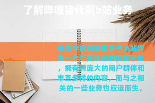 了解哔哩猪代刷b站业务