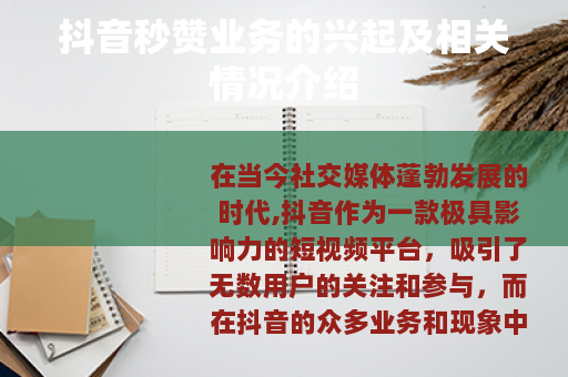 抖音秒赞业务的兴起及相关情况介绍