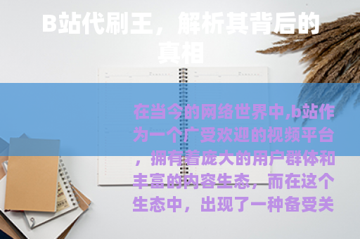 B站代刷王,解析其背后的真相