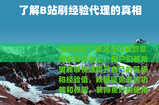 了解B站刷经验代理的真相