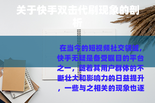 关于快手双击代刷现象的剖析