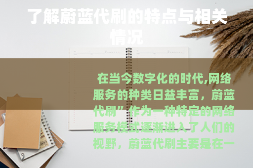 了解蔚蓝代刷的特点与相关情况