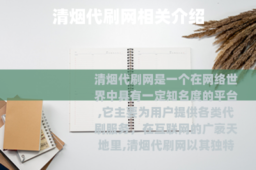 清烟代刷网相关介绍