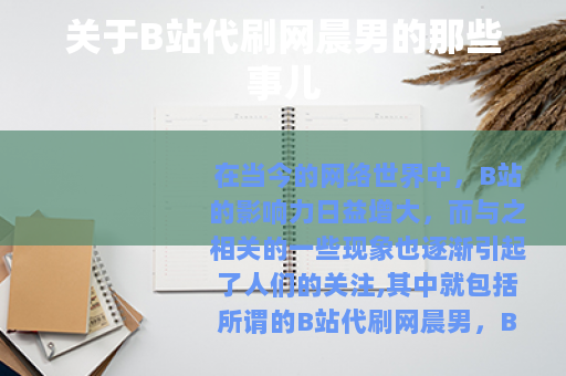 关于B站代刷网晨男的那些事儿
