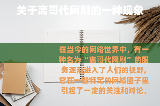 关于离哥代网刷的一种现象
