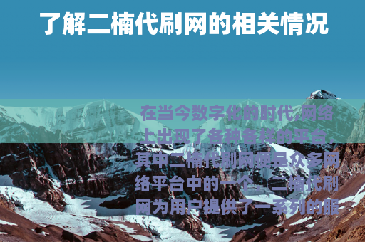 了解二楠代刷网的相关情况