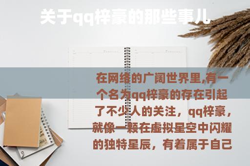 关于qq梓豪的那些事儿