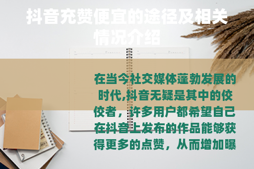 抖音充赞便宜的途径及相关情况介绍