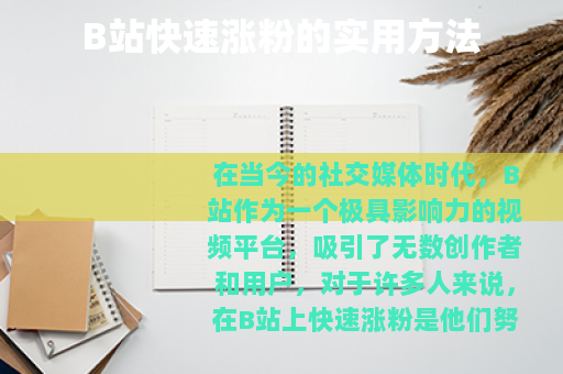 B站快速涨粉的实用方法