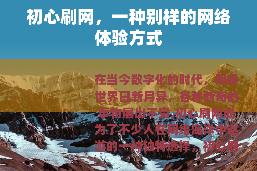 初心刷网，一种别样的网络体验方式