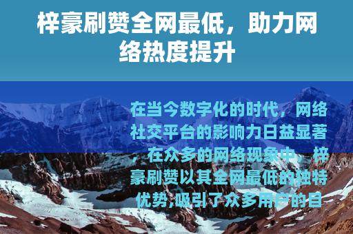 梓豪刷赞全网最低，助力网络热度提升
