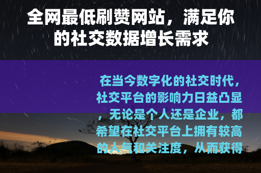 全网最低刷赞网站，满足你的社交数据增长需求